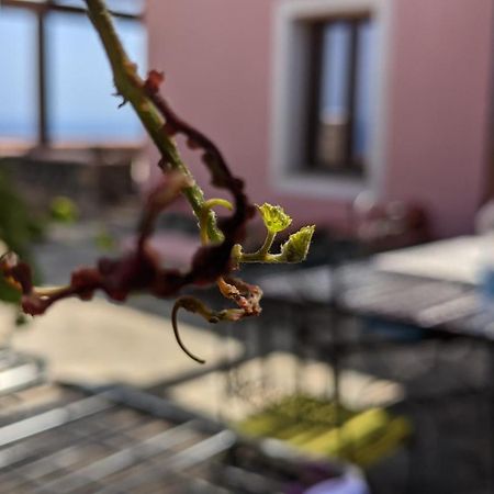 Horizon Pantelleria Bed and Breakfast Campobello Exteriör bild